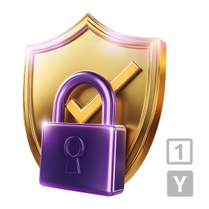 VPN 1-YEAR